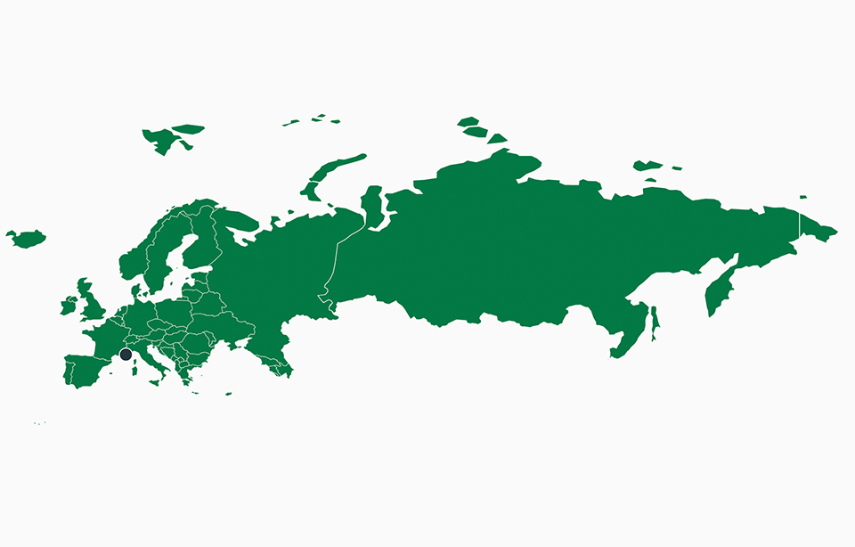 View in green on a gray background of the European continent