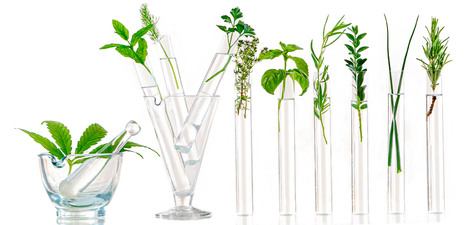 Plant samples in vials Aromatech