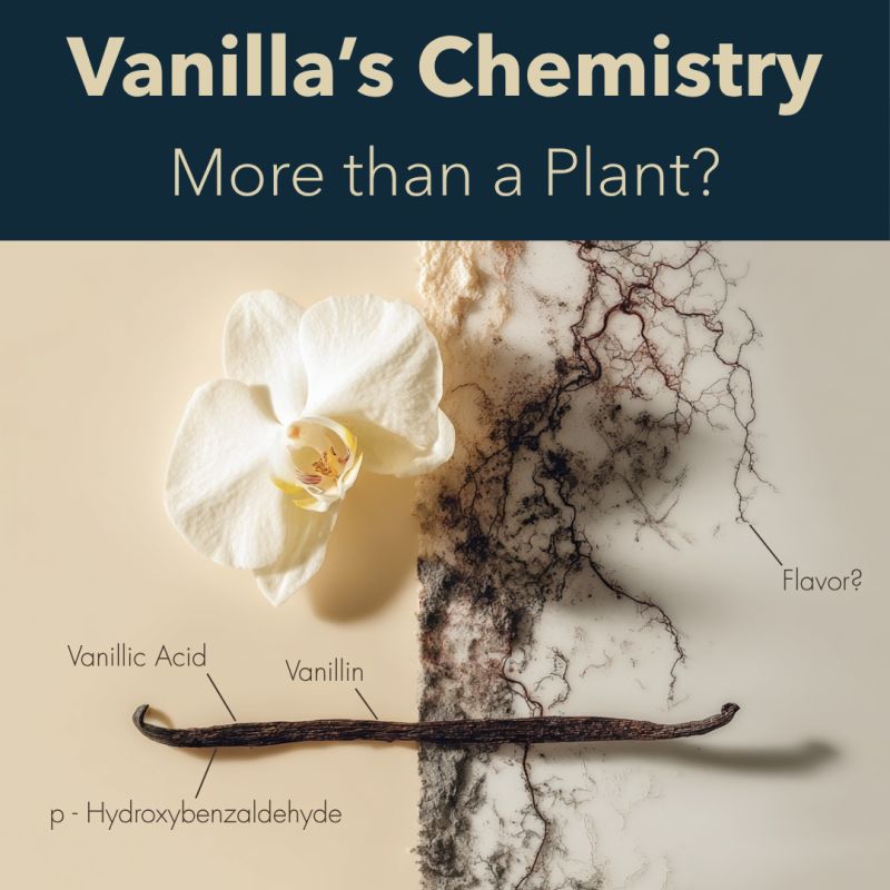 Création Visuel pour le post :¿Y si el sabor característico de la vainilla no lo produjera la planta?