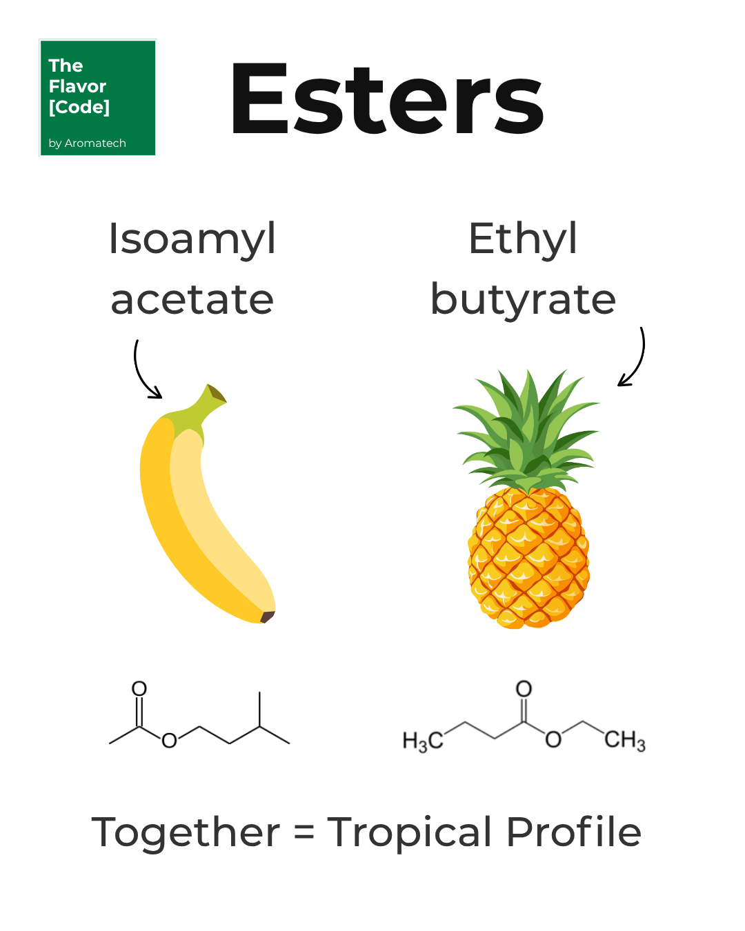 Création Visuel pour le post :The Flavor [Code]: Esters by Aromatech