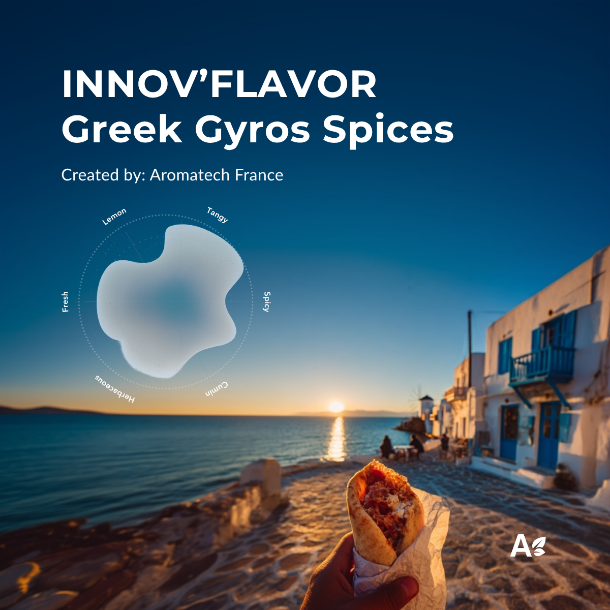 Création Visuel pour le post :Gyros Spices Innov’flavor: Mediterranean Authenticity
