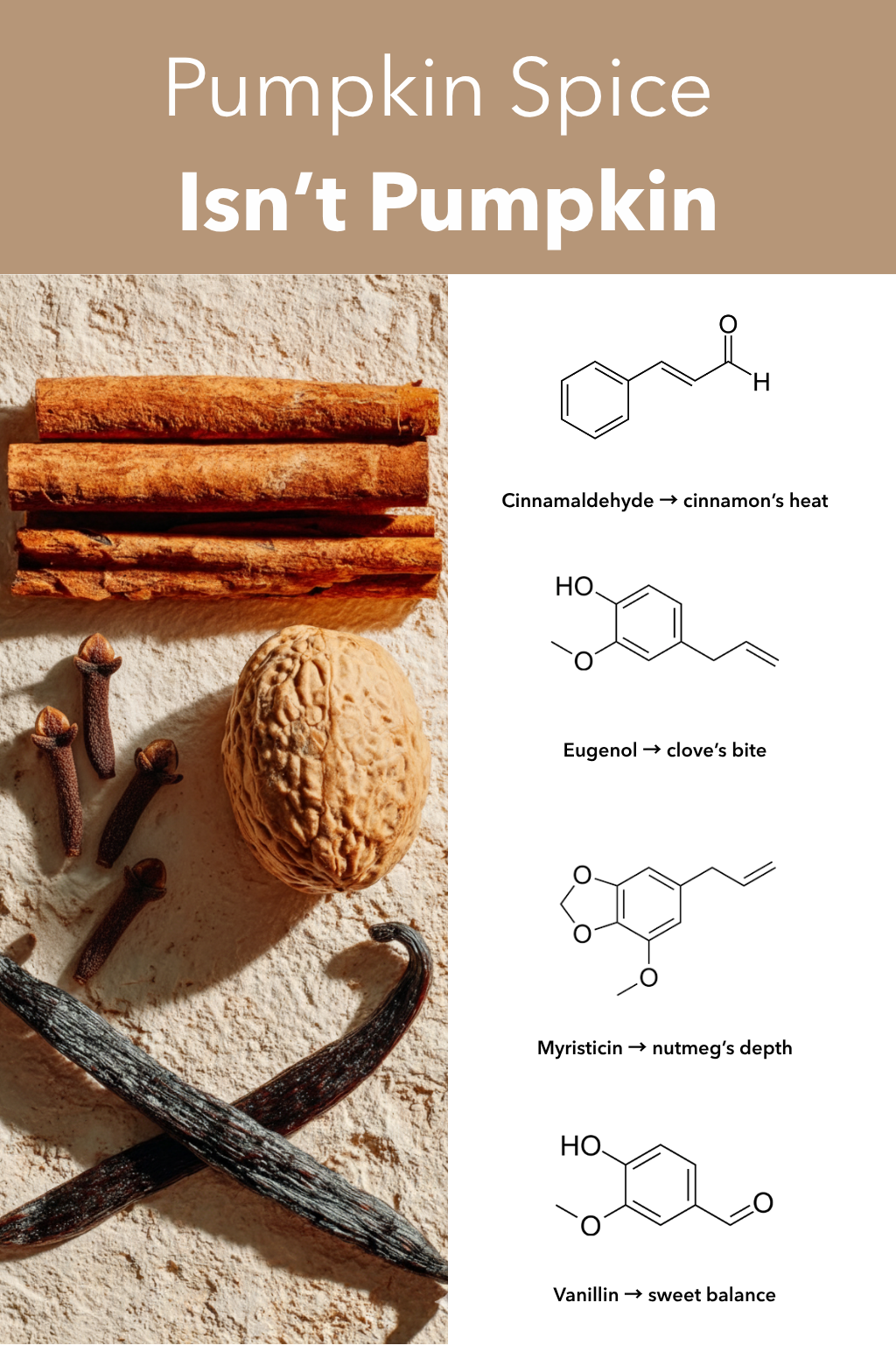 Création Visuel pour le post :Pumpkin Spice Comes from Chemistry, Not Pumpkin