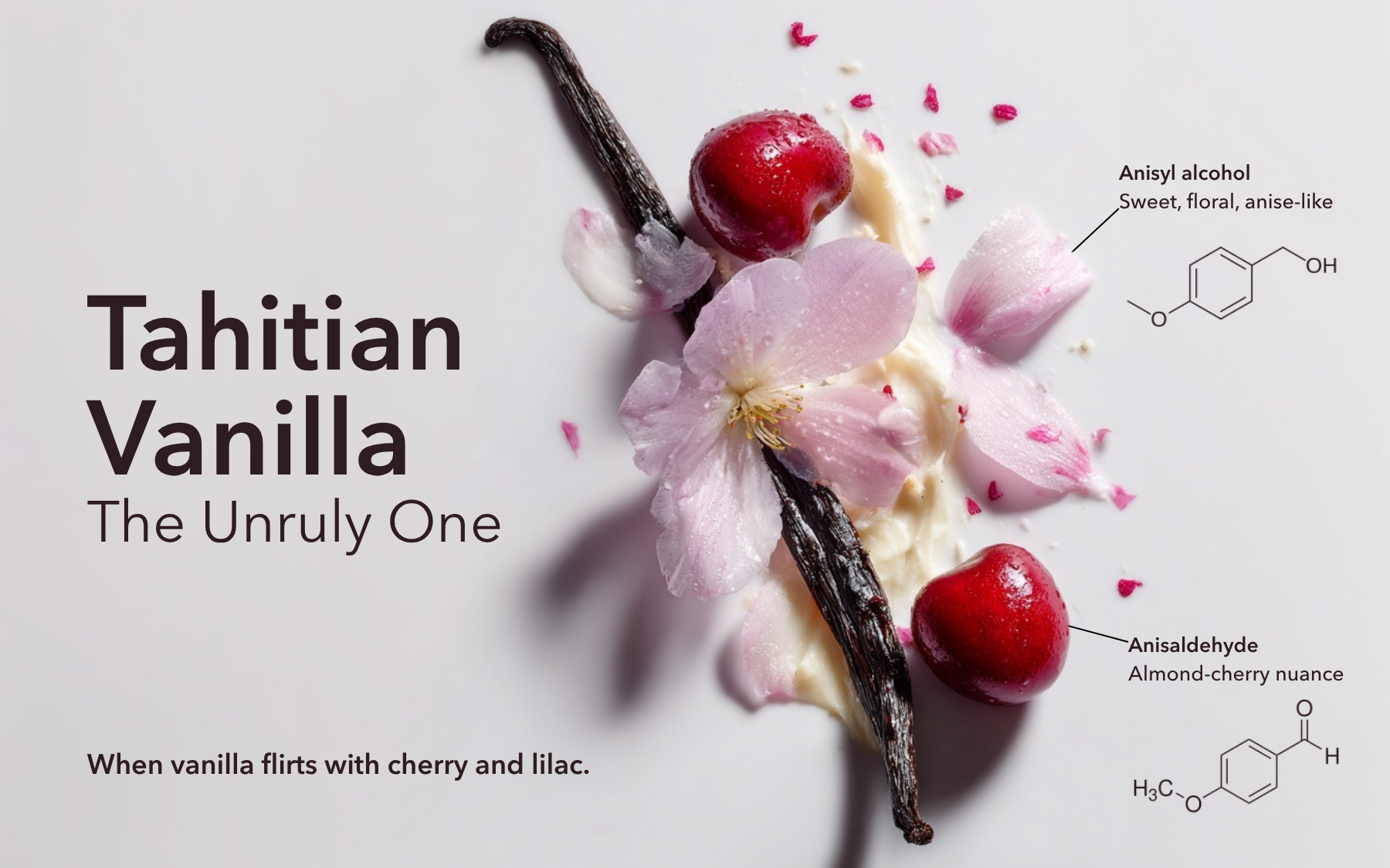 Création Visuel pour le post :La vainilla que se niega a comportarse – Vainilla de Tahití