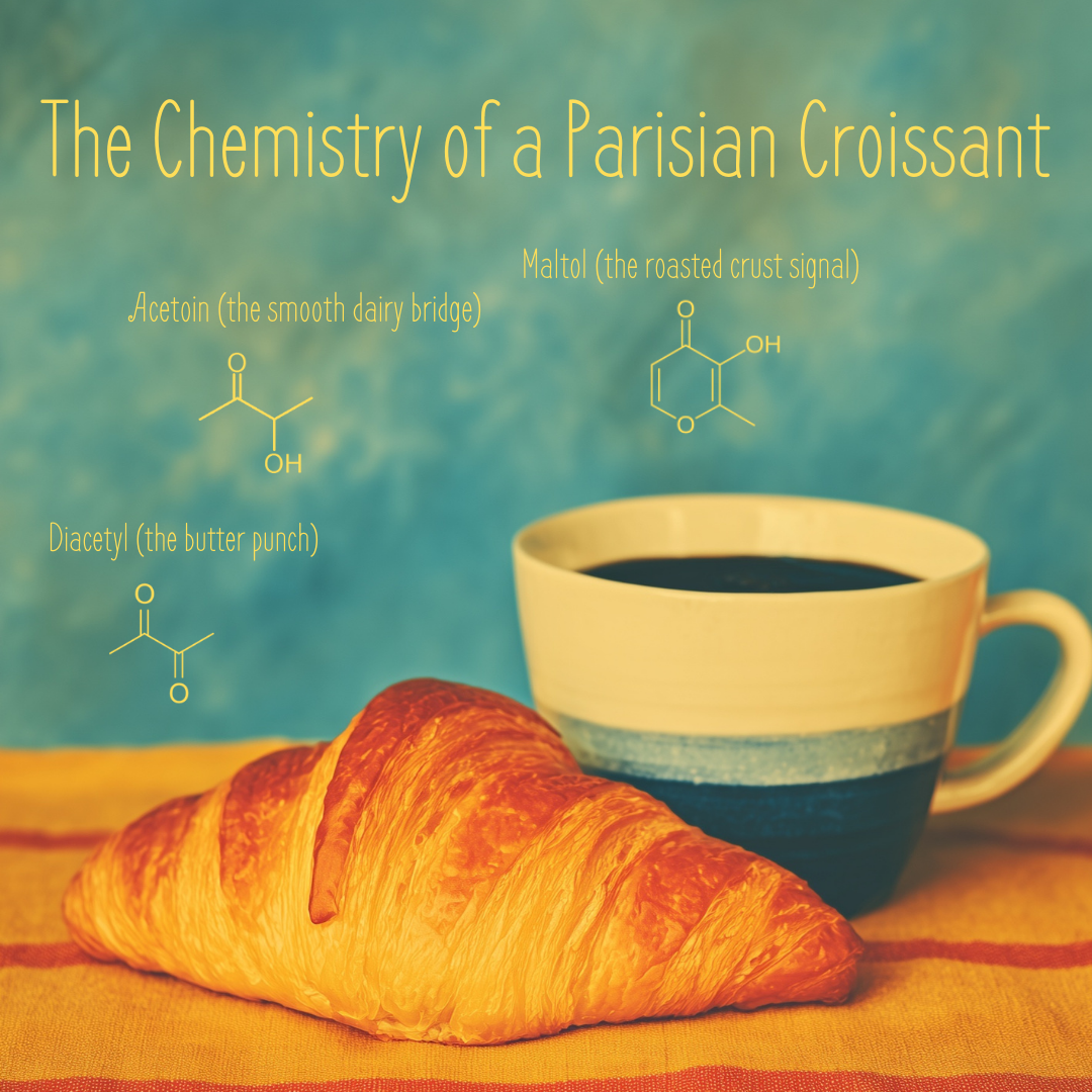 Création Visuel pour le post :The Chemistry of a Croissant in Paris