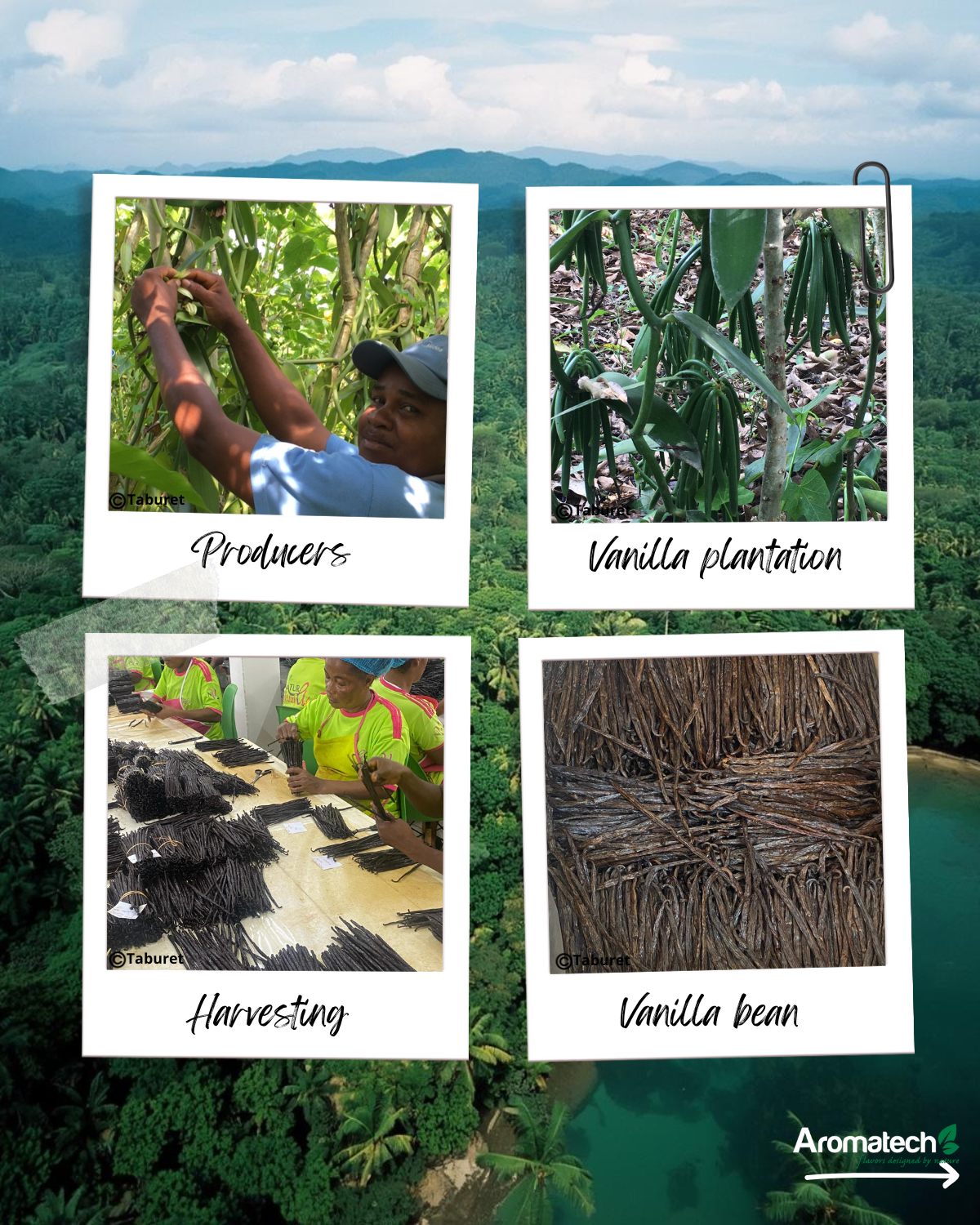 Création Visuel pour le post :Aromatech unveils its own organic vanilla extracts!