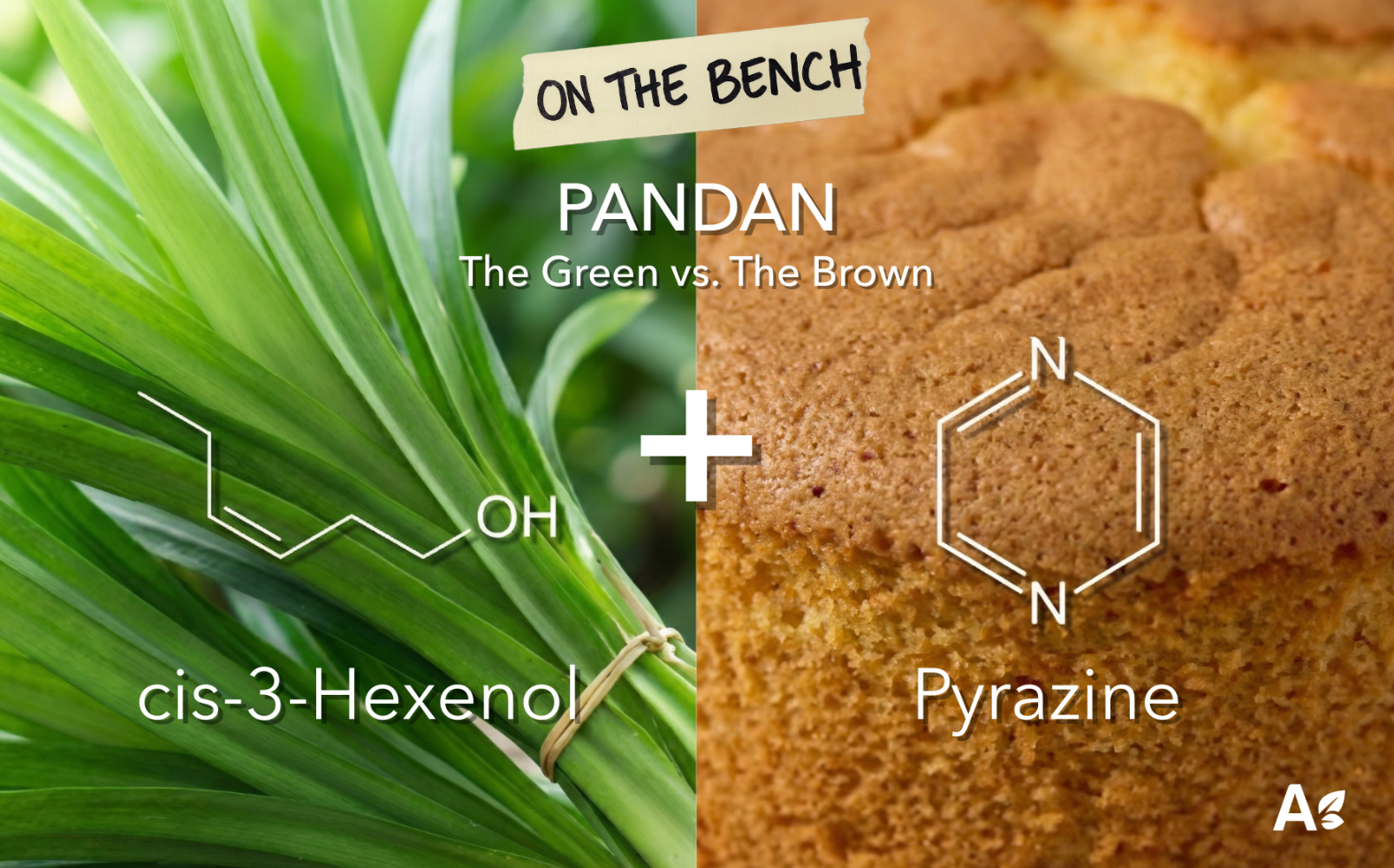 Création Visuel pour le post :Formulating Pandan: Balancing the Green and the Brown