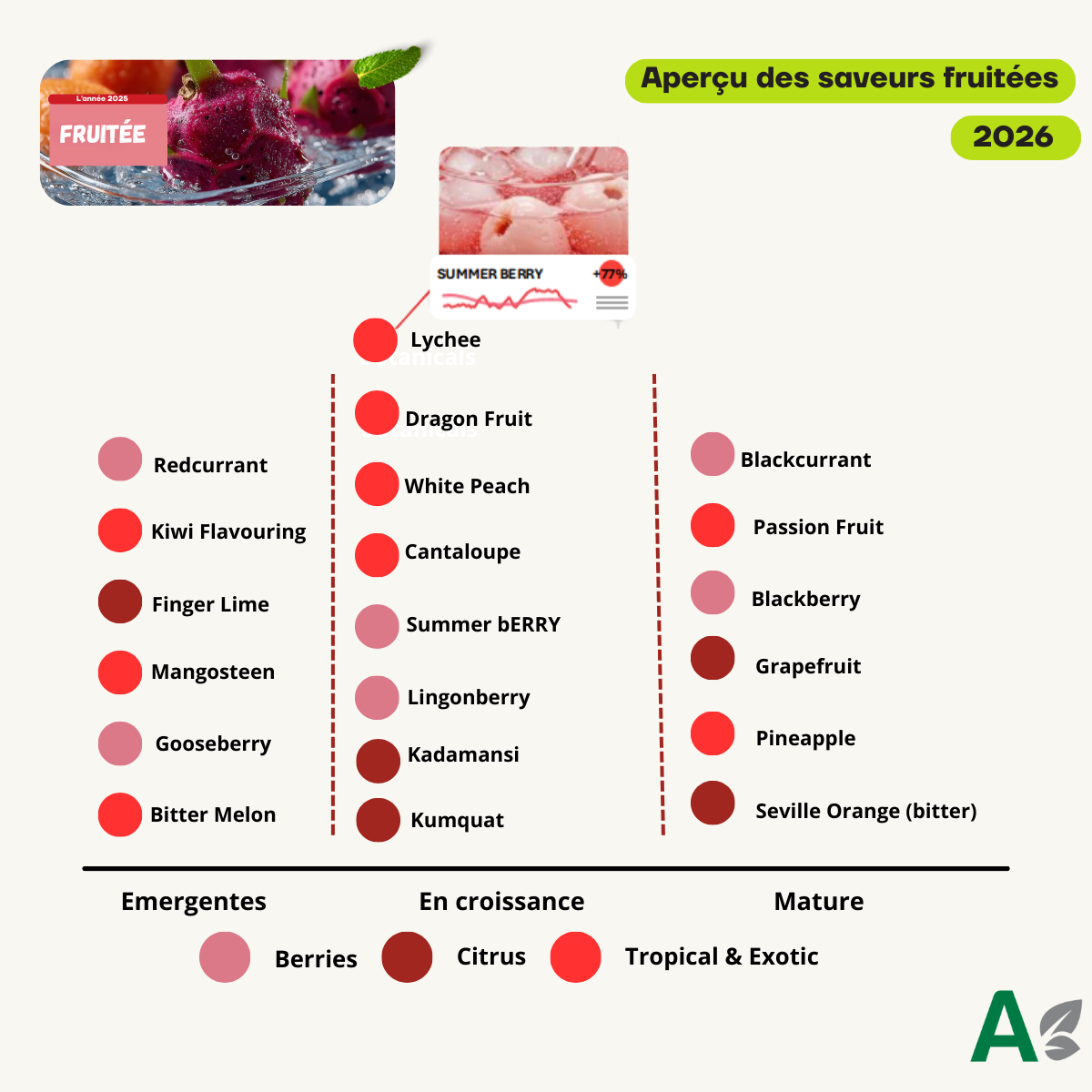 Création Visuel pour le post :Aperçu des saveurs fruitées