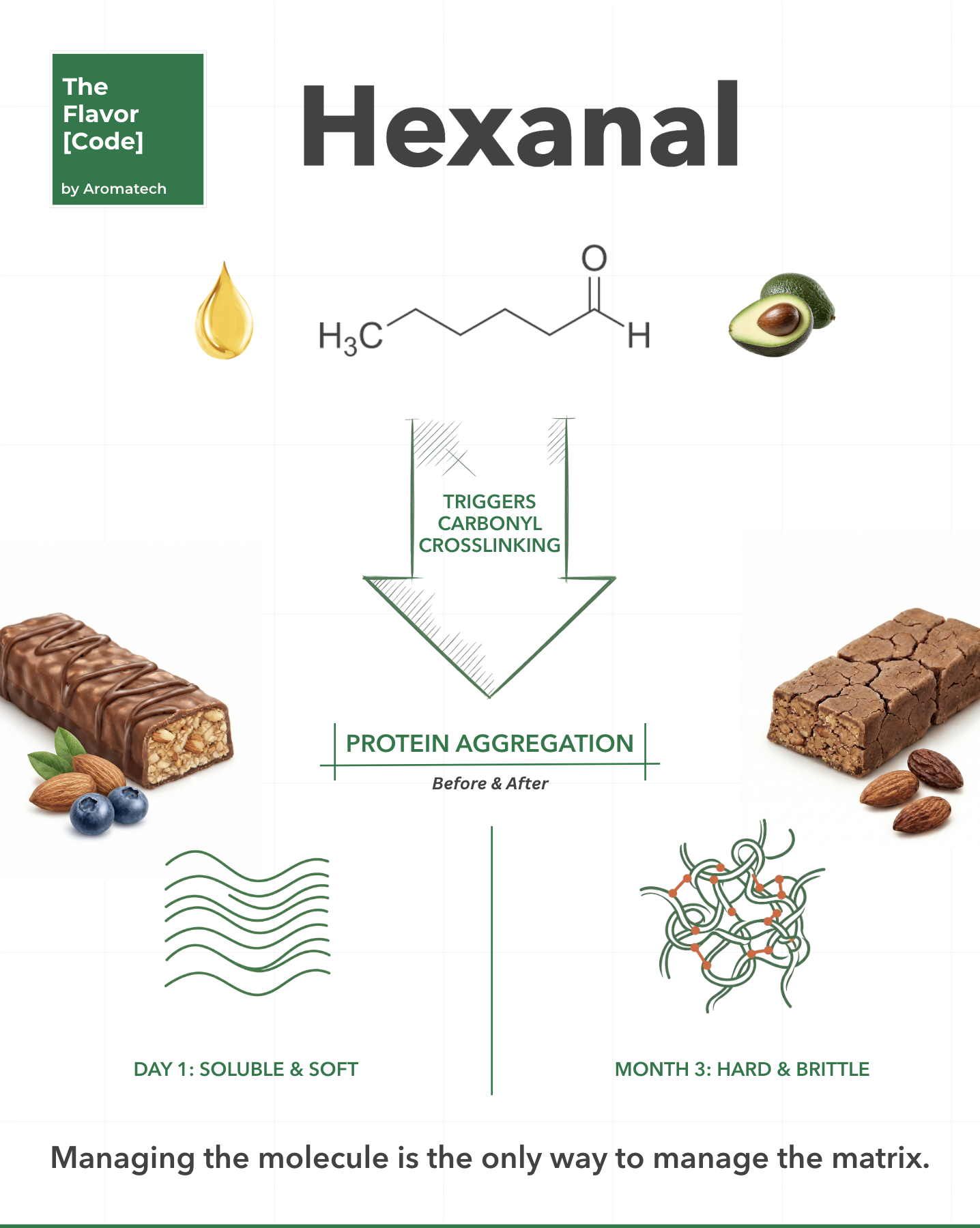 Création Visuel pour le post :Causes and Solutions for Protein Bar Hardening and Oxidation
