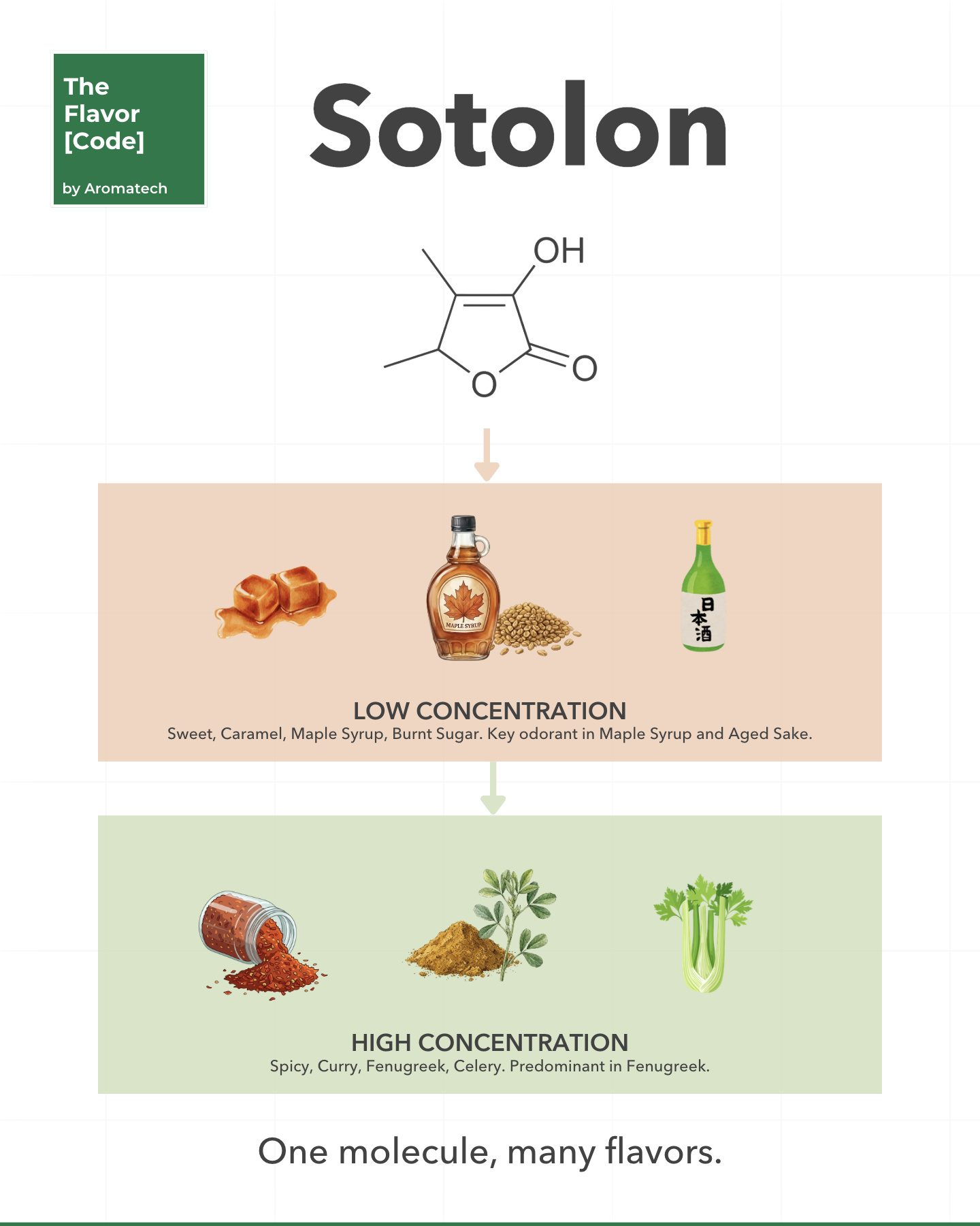 Création Visuel pour le post :Sotolón en la química de aromas: retos de formulación y límites de estabilidad