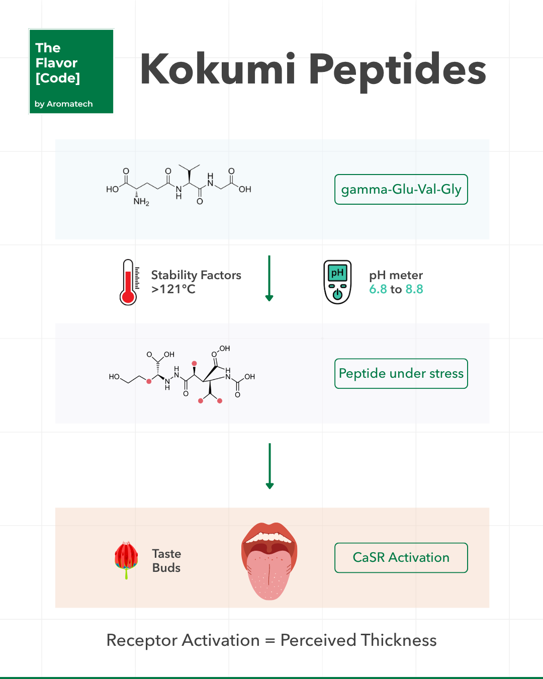Création Visuel pour le post :Formulating with Kokumi Compounds and Gamma-Glutamyl Peptides