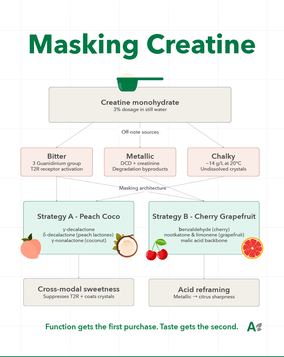 Création Visuel pour le post :Creatine Flavor Masking for Functional Beverages