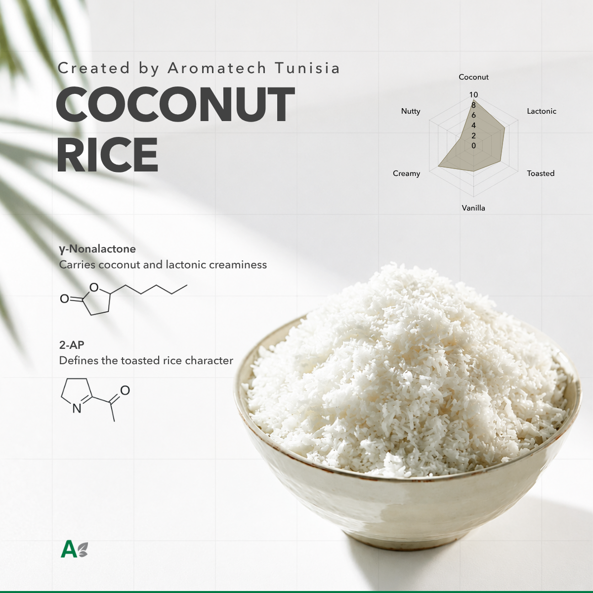 Création Visuel pour le post :Sabor Arroz con Coco: Guía Técnica