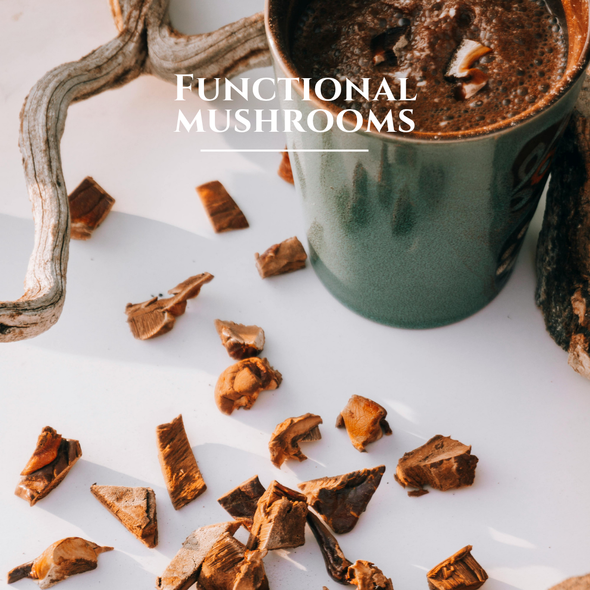 Création Visuel pour le post :Functional mushrooms: from holistic wellbeing to a new generation of health ingredients