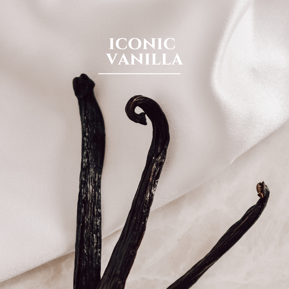 Création Visuel pour le post :Vanilla: an iconic ingredient undergoing a major reinvention in the food and beverage industry