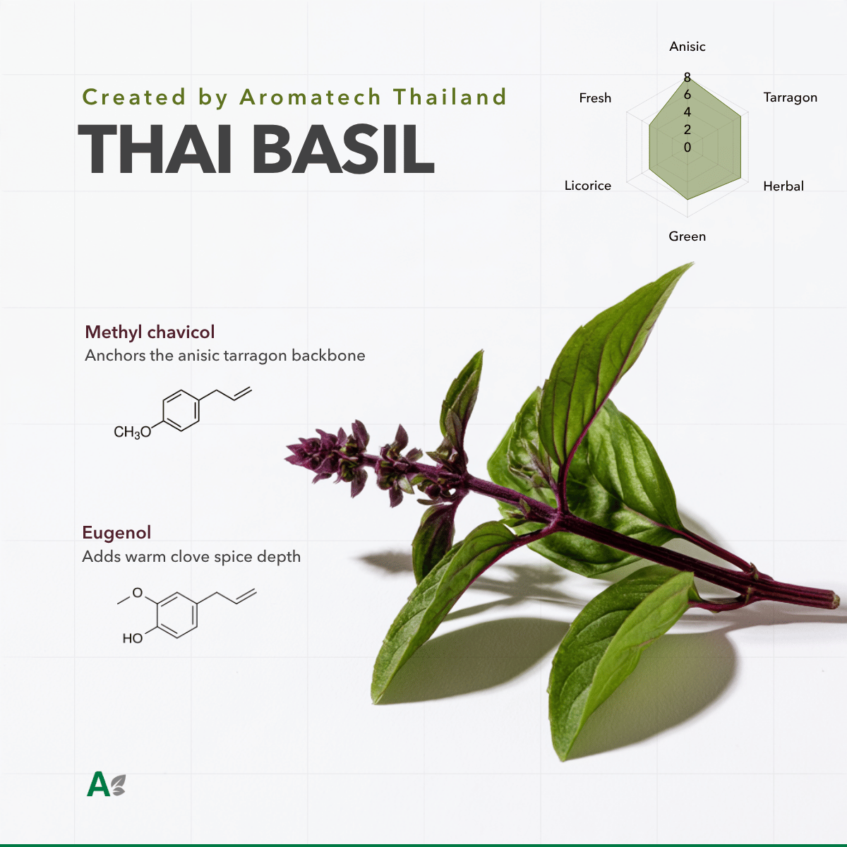 Création Visuel pour le post :Natural Thai Basil Flavor